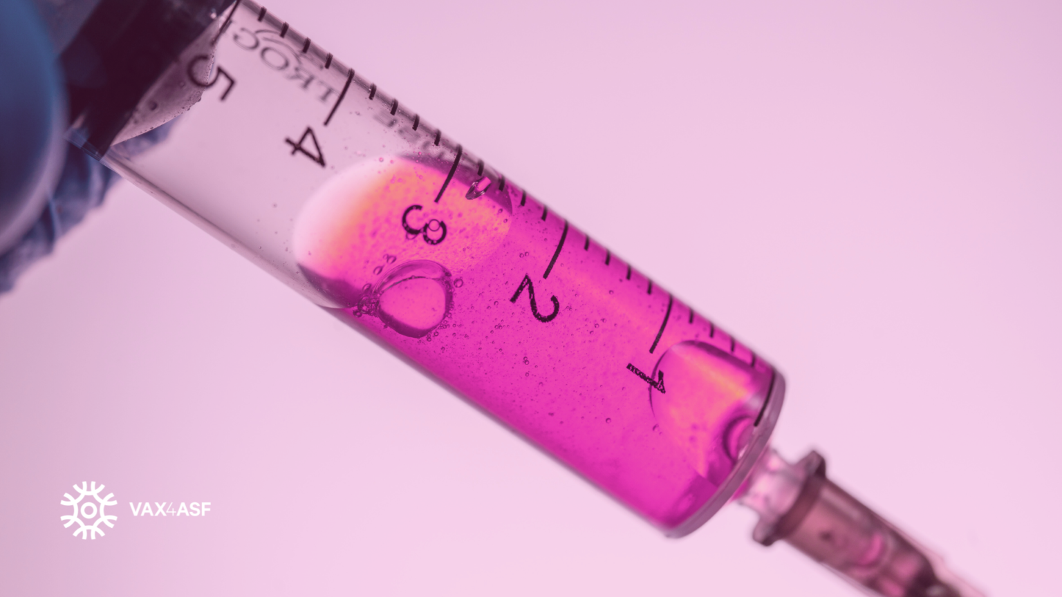 The VAX4ASF vaccine
